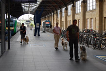 Grundausbildung Wiesbaden