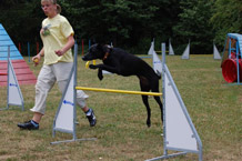 Agility Wiesbaden
